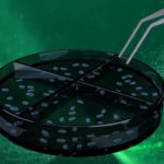 حفظ البُصيلات داخل السائل لزراعة الشعر بالاقتطاف